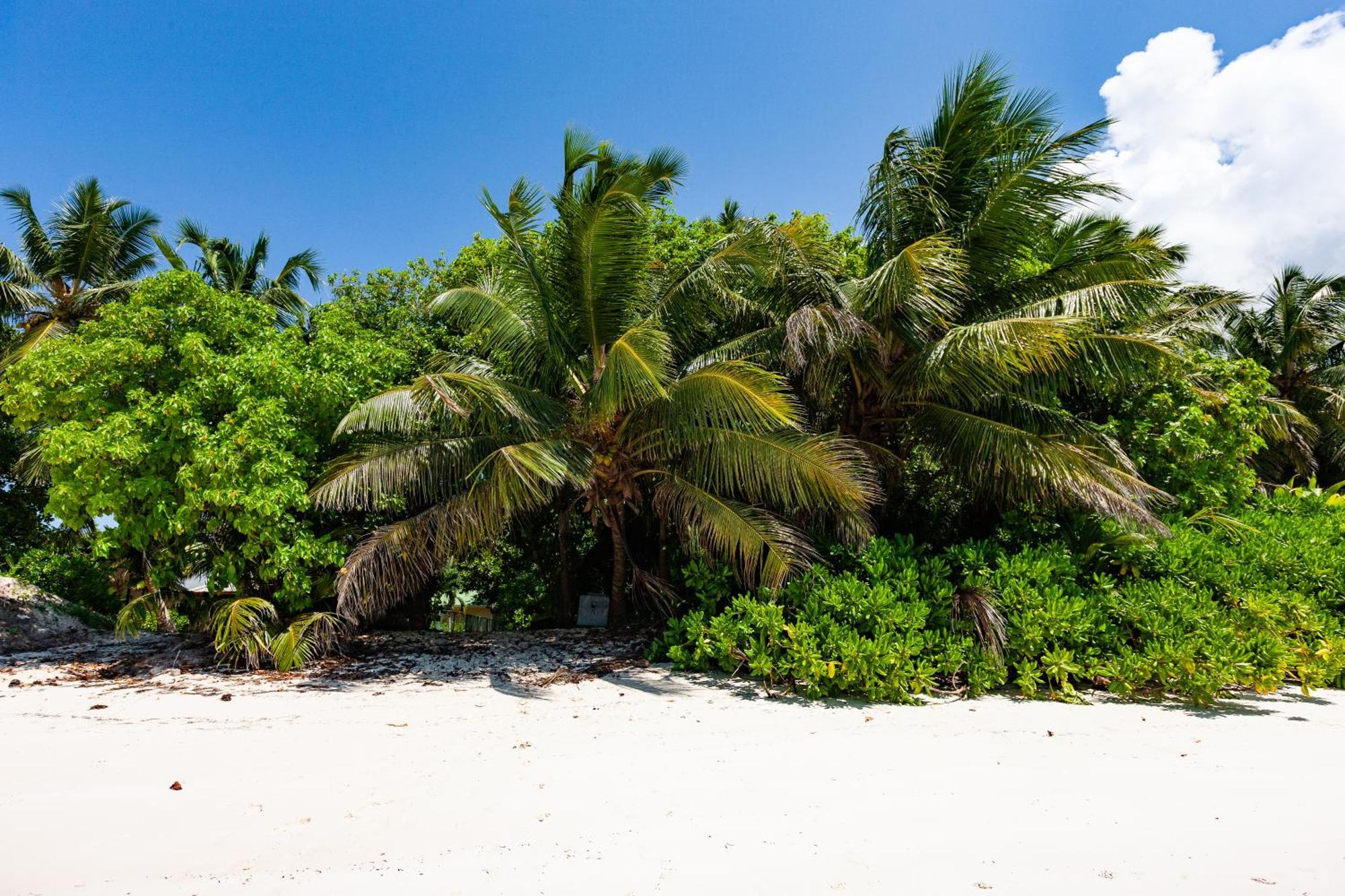 Bijoutier Apartments Grand Anse  Eksteriør bilde